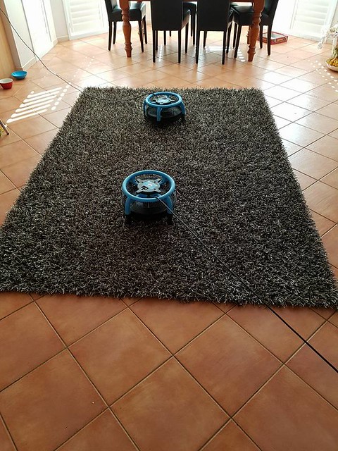 rug-cleaning